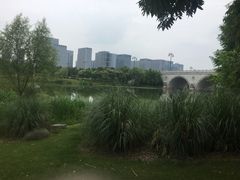 -尚贤河湿地