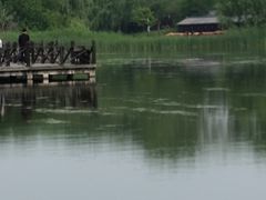 -溱湖国家湿地公园