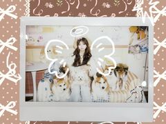 -汪说·狗咖·拼豆·宠物周边DIY(旺城大厦店)