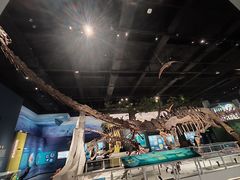 -国家自然博物馆