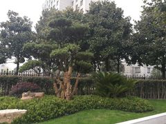 -中共上海市委党校 上海行政学院