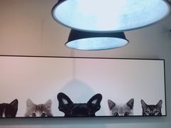 -吃饼人西餐(南开店)