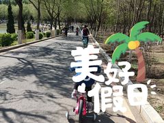 -丁香湖公园