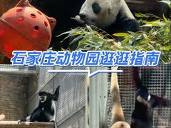 -石家庄市动物园