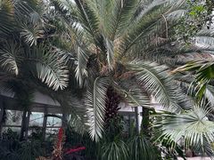 -郑州植物园