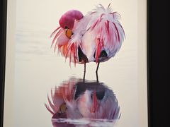 -罗红摄影艺术馆