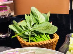 菠菜-官也街澳门火锅(新源里店)