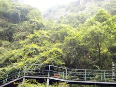 -宁波五龙潭景区