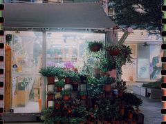 -证大大拇指广场(芳甸路店)