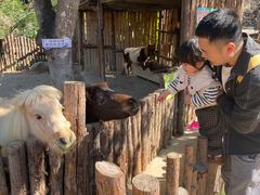 -泉州海丝野生动物世界