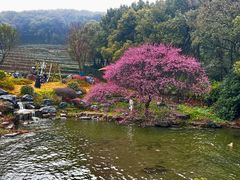 -中国茶叶博物馆(双峰馆区)