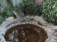 -中家鑫园温泉酒店鑫悦汤泉