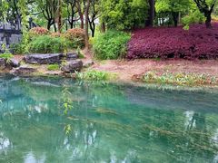 -贡湖湾湿地公园