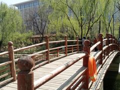 -元大都城垣遗址公园