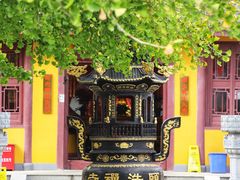 -金泽古镇