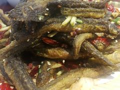 干煸泥鳅-二乔鱼庄