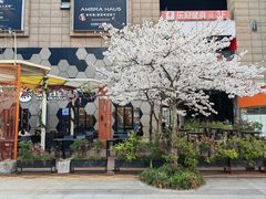 -Ambra Haus琥珀屋精酿餐厅(宝山店)