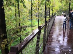 -黄海国家森林公园