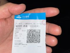 -万达影城(闵行颛桥万达广场杜比影院店)