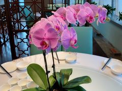 -洋洋中餐馆·SINCE 1997(信投店)