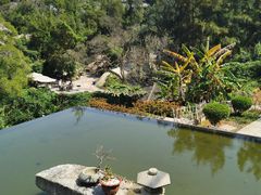 景观位-厦门园林植物园-植物园滴水山房