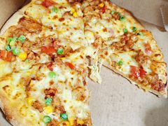 -达美乐比萨(国瑞北路店)