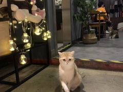 -咖法森林·咖啡  酒吧(天河店)