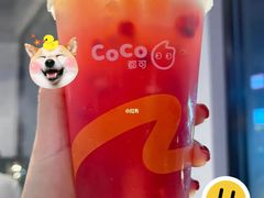 -CoCo都可(光谷天地店)