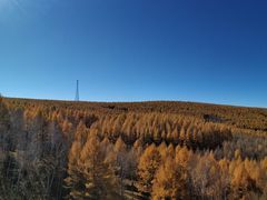 -塞罕坝国家级自然保护区