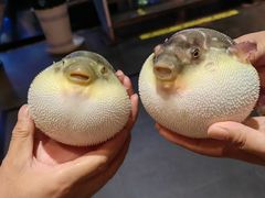 -永安鱼庄·镇江菜(东吴路店)