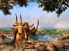 -国家自然博物馆