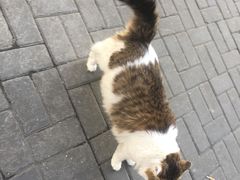 -中国工商银行(上海市共和新路支行)