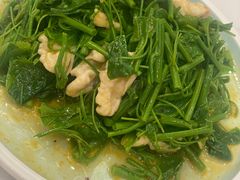 桃仁辣木苗-鸿宾楼(展览馆路店)