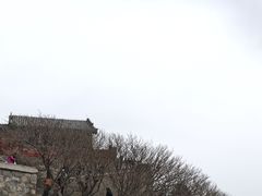 -泰山风景名胜区-虎山公园
