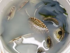 -萨莉亚意式餐厅(深南茂业店)