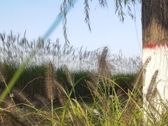 -渭河城市绿地运动公园