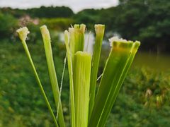 -喜洋洋蟹庄(阳澄湖店)