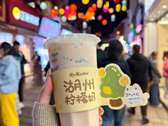 -猫的魔法密林(衣裳街店)