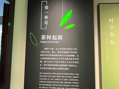-中国茶叶博物馆(双峰馆区)