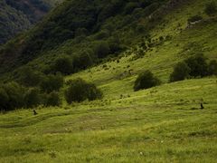 -灵山