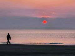 -东郊椰林