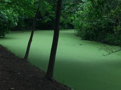 -广富林郊野公园