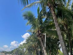 -深圳湾公园(南山区)