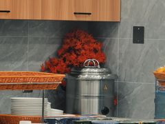 -桃仙机场头等舱休息室