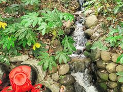 -天目湖山水园