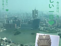 澳门旅游塔上看到的景色-澳门旅游塔360°旋转餐厅(南湾湖广场店)