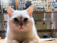 -后院儿·精酿·塔罗Happy Bar