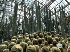-南山植物园