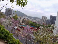 -小南山公园