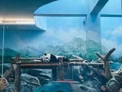-武汉动物园